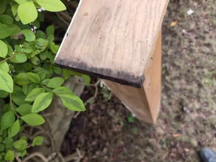 Photo of free Wooden fireplace surround (Greenbank EH10) #2