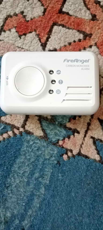 Photo of free Carbon monoxide alarm (Falmouth TR11) #1