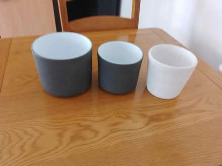 Photo of free 3 x indoor plant pots (Harlescott SY1) #1