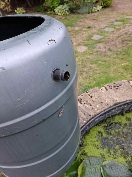 Photo of free Water butt (Twickenham TW2) #3