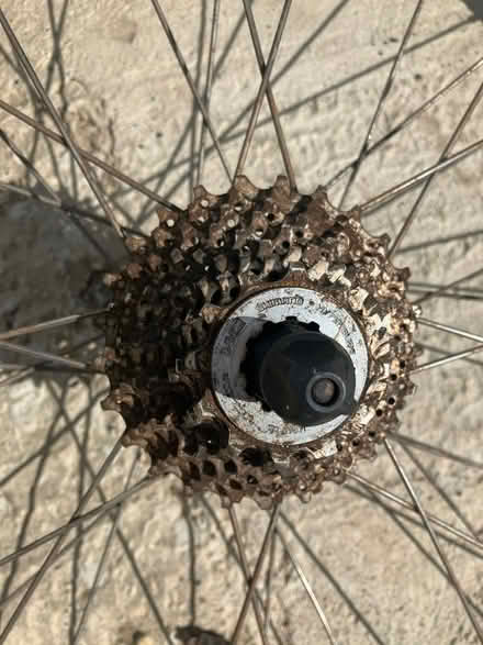Photo of free Road Bike Wheels (TN38 st Leonard’s) #2