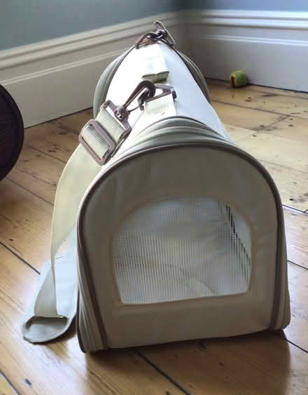Photo of free Foldable cat carrier (Hastings TN34) #1