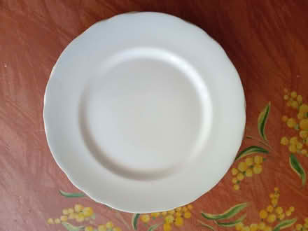 Photo of free white plates 22cm diameter (Long Ashton BS41) #1