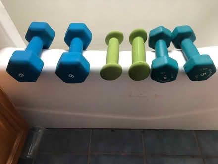 Photo of free Set of hand weights (East Watertown) #1
