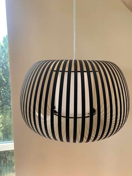 Photo of free Centre ceiling designer lampshade (Kew TW9) #1