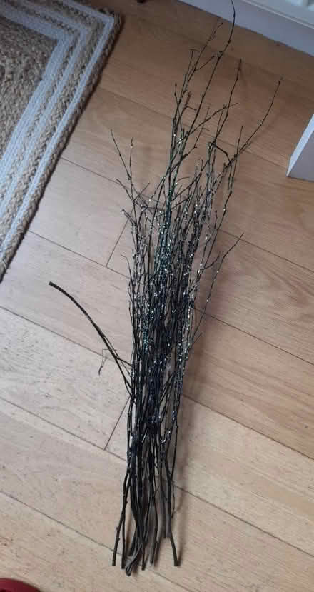 Photo of free Sparkly twigs (Kingsway) #2