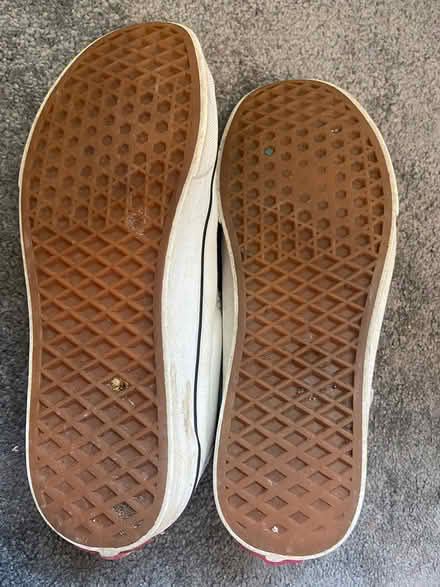 Photo of free Vans size 6 #2 (Shoreham) #4