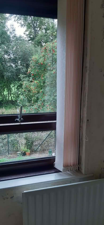 Photo of free 3x vertical blinds (Clitheroe BB7) #1