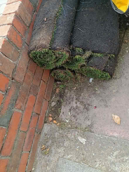Photo of free Turf (Maghull L31) #2