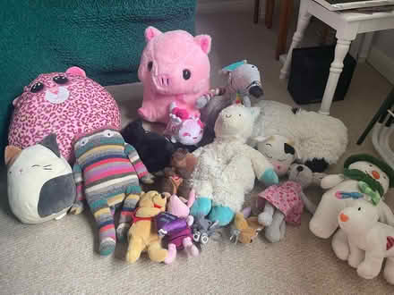 Photo of free Selection of soft toys. (North Ascot SL5) #1