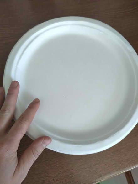 Photo of free Paper plates (IG11 Barking) #2