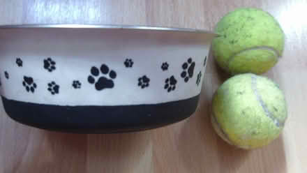 Photo of free Metal dog bowl and balls (SW15 Roehampton) #1