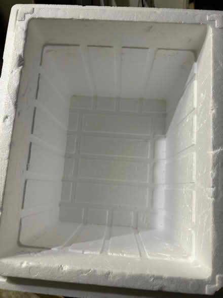 Photo of free Styrofoam foam cooler (Meadowvale, Mississauga) #2
