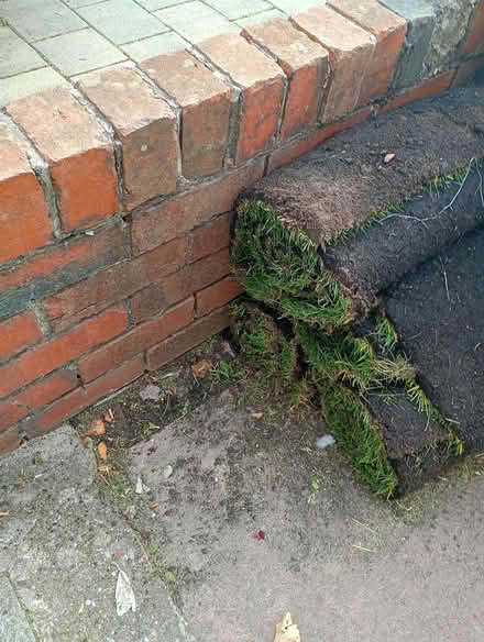 Photo of free Turf (Maghull L31) #1