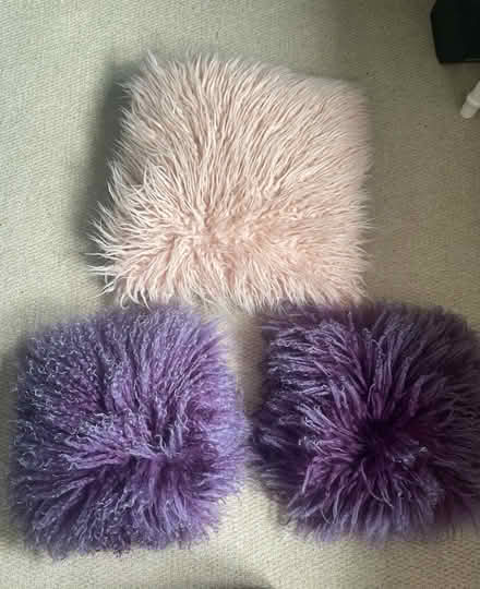 Photo of free Cushions (North Ascot SL5) #1