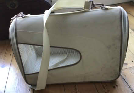 Photo of free Foldable cat carrier (Hastings TN34) #2