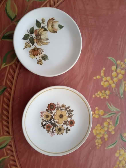 Photo of free side plates (Long Ashton BS41) #1