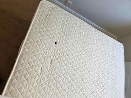 Photo of free Double bed (Donnybrook) #1