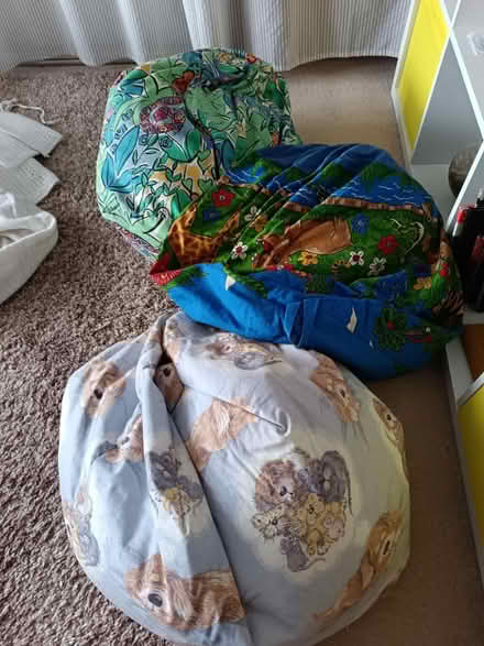 Photo of free 3 small beanbags (Ashington) #1