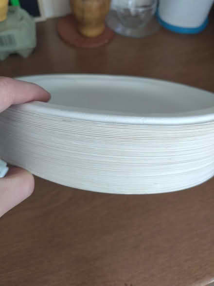 Photo of free Paper plates (IG11 Barking) #1