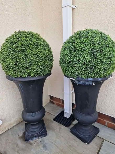 Photo of free Artifical outdoor plants in pots (Broughton PR3) #2