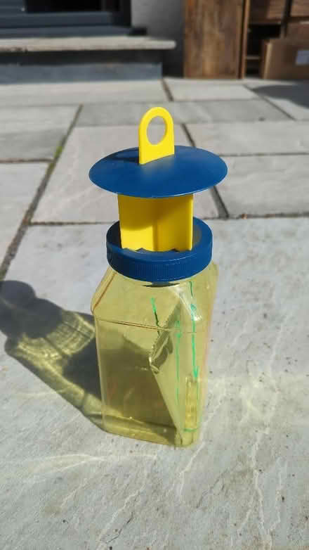 Photo of free Wasp trap (Kendal LA9) #1