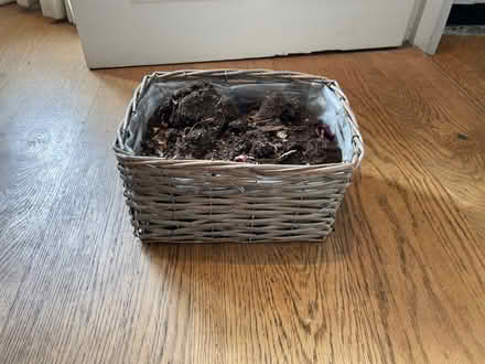 Photo of free Indoor plant basket (W12) #1