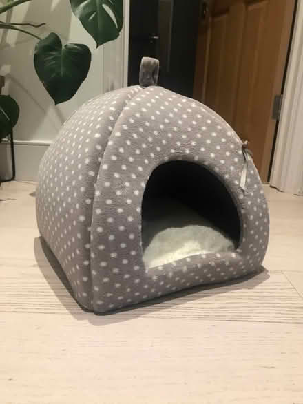 Photo of free Cat scratcher and cat bed (Chalk Farm NW5) #1