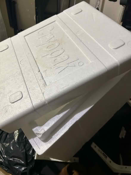 Photo of free Styrofoam foam cooler (Meadowvale, Mississauga) #1