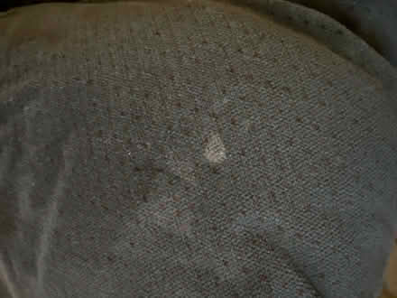 Photo of free 2 seater sofa (BS5) #3