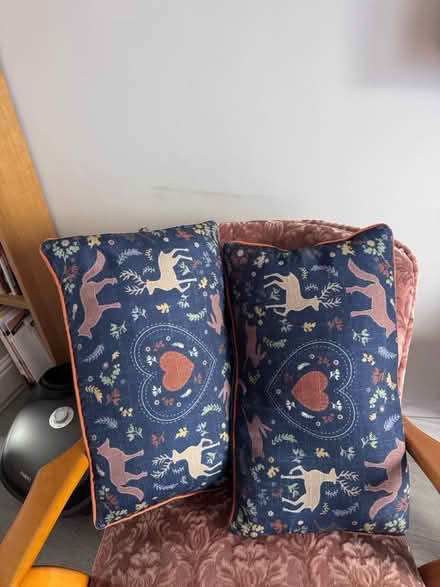 Photo of free Two decorative cushions (Upminster Bridge RM14) #1