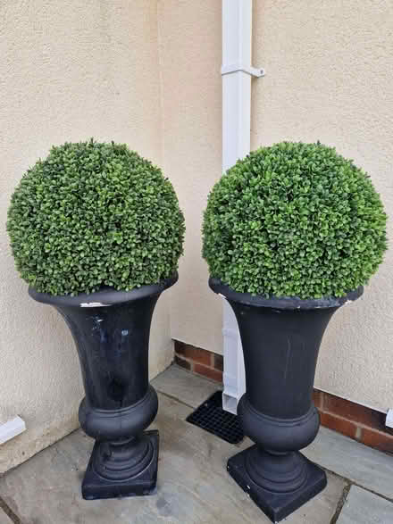 Photo of free Artifical outdoor plants in pots (Broughton PR3) #1
