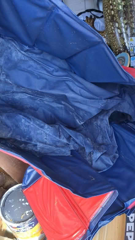 Photo of free Paddling pool (CH43) #1