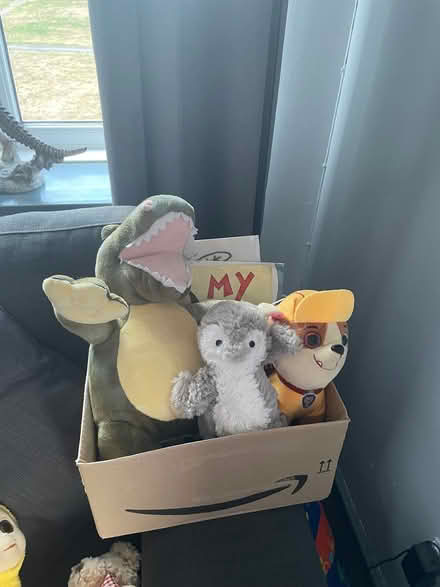 Photo of free Children’s books and teddies (Thringstone LE67) #1