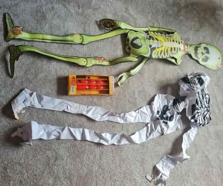 Photo of free Halloween bits and pieces (Purbrook) #2
