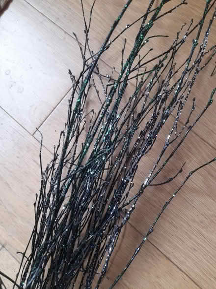 Photo of free Sparkly twigs (Kingsway) #1