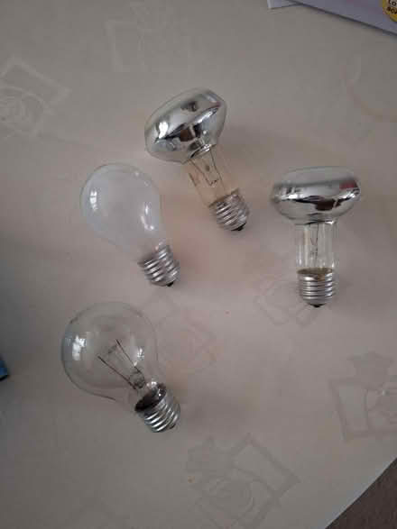 Photo of free Light bulbs (Bexhill) #2