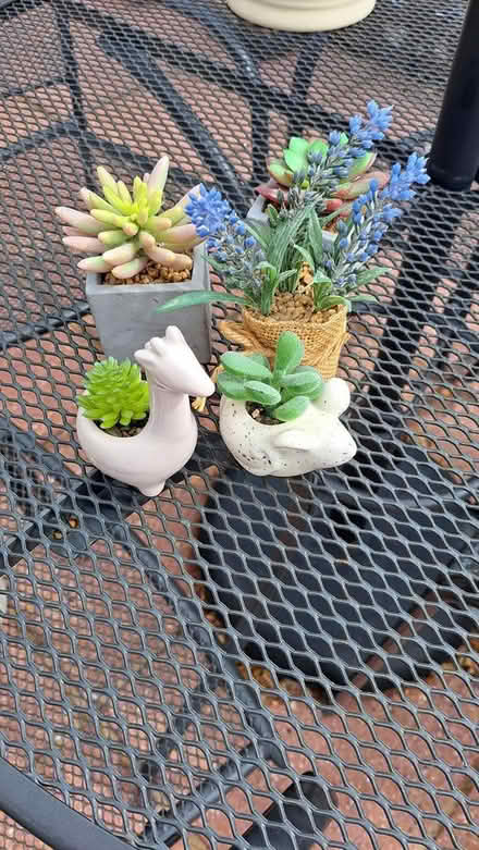 Photo of free artificial plants in ceramic pots (Littlehaven) #1