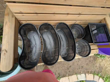 Photo of free Pond plant baskets (Wallington PO16) #2