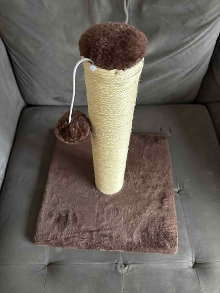 Photo of free Brown/cream cat toy (Trowbridge BA14) #1