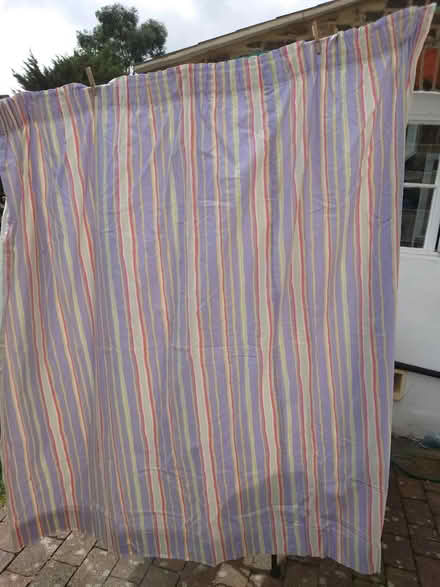 Photo of free Curtains (pair) (Harringay N4) #1