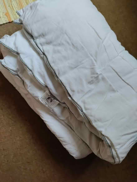 Photo of free 12 tog single duvet (California DE22) #2