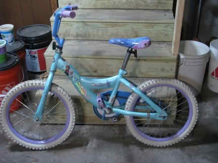 Photo of free Frozen-themed kid's bike (Spring Hill, Somerville) #1