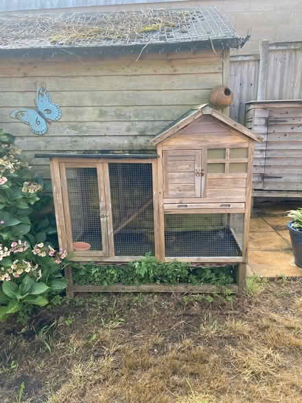 Photo of free Guinea pig hutch (Crowborough TN6) #1