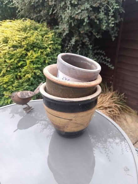 Photo of free Pots (Theale RG7) #1