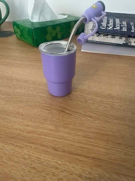 Photo of free Mini Stanley Cup (Liverpool L7) #1