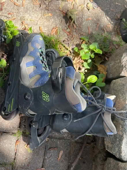 Photo of free one day sidewalk giveaway (Leslieville) #4