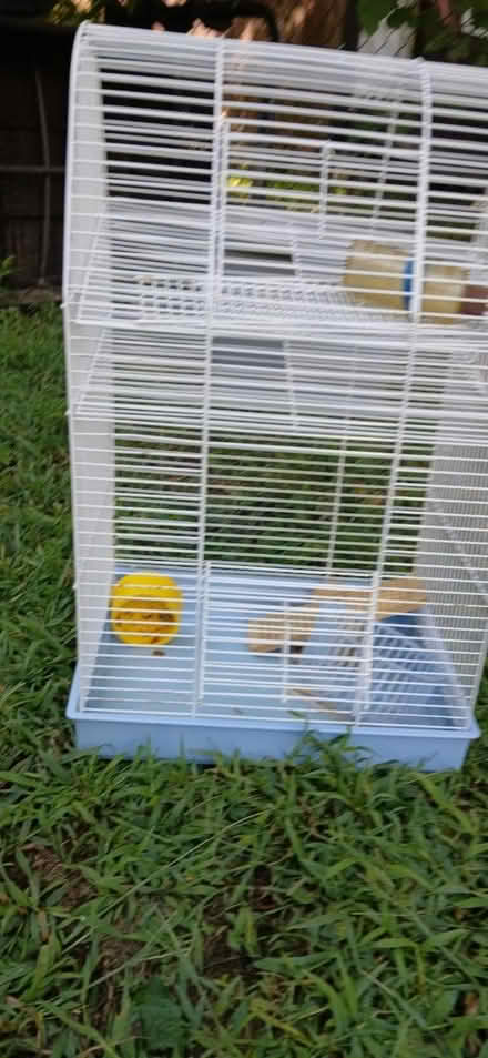 Photo of free At curb: hamster cage, chair (Bloor St W & Jane St) #1