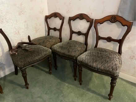 Photo of free 4 dining chairs (Kenilworth CV8) #1