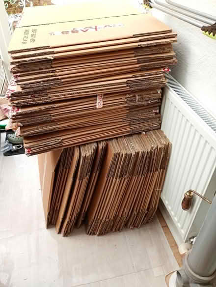 Photo of free Moving boxes (Wallands Park BN7) #1